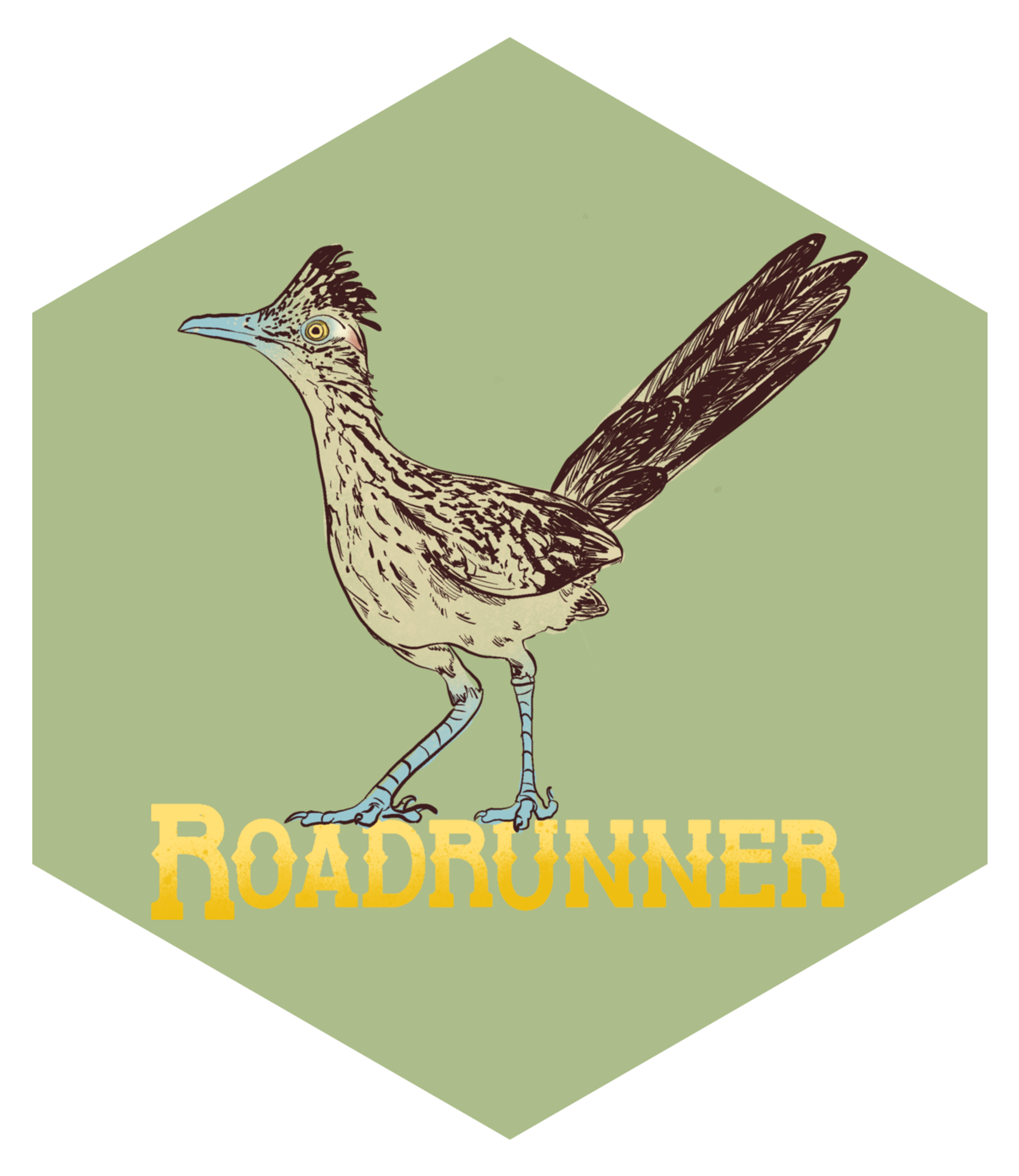 roadrunner hex sticker